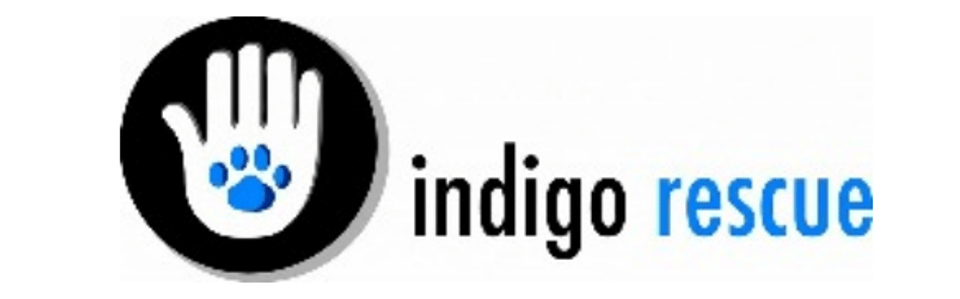 Media image is present