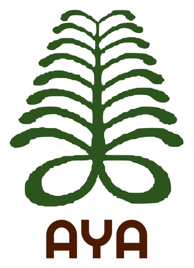 Media image is present