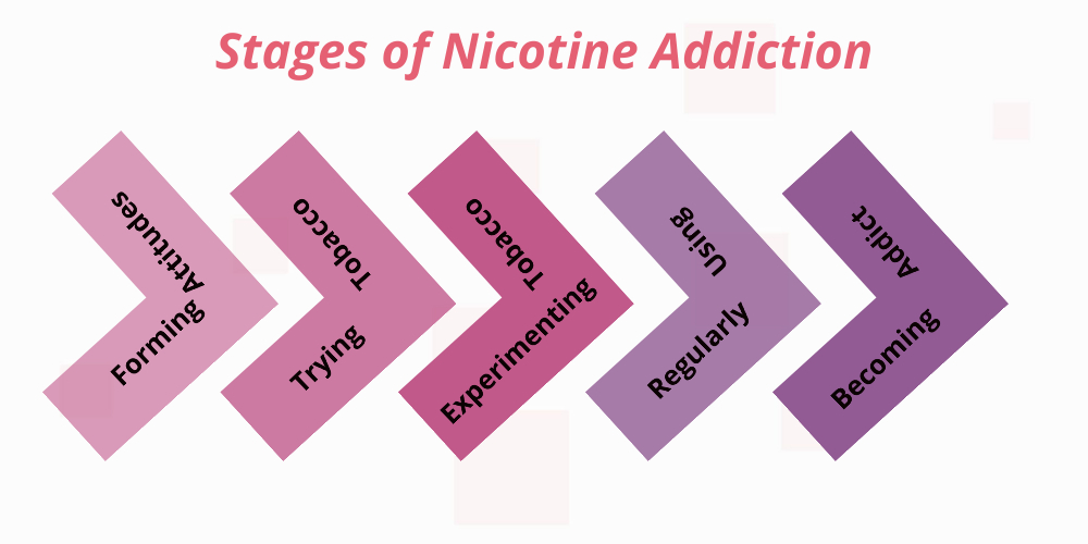Nicotine addiction stages