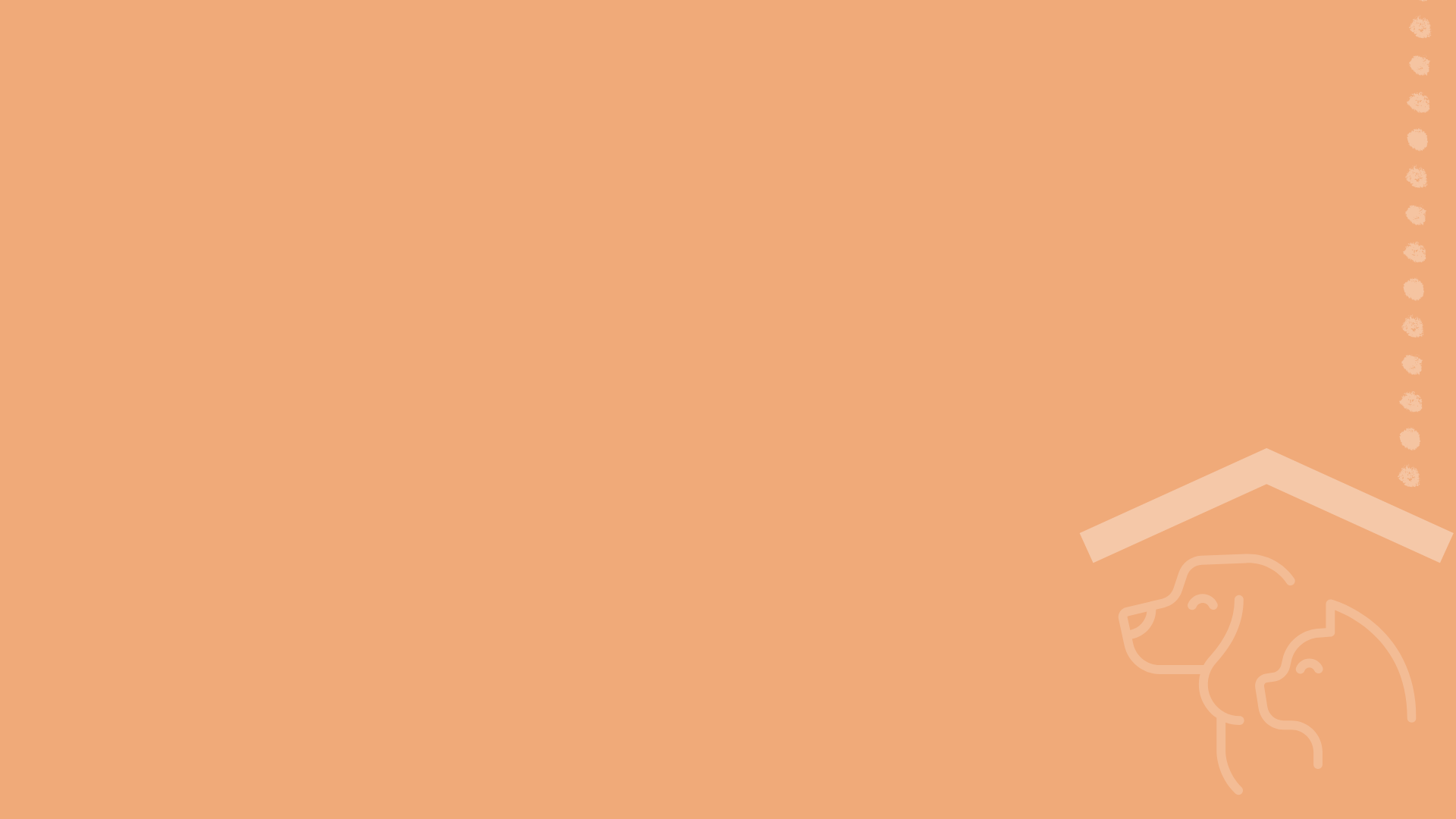 Euthanasia In Animal Shelters Survey