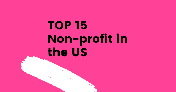 Top 15 Non-Profit Organization in US